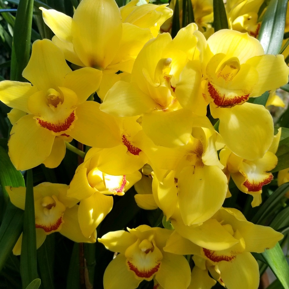 Meet your Posher, Bonnie